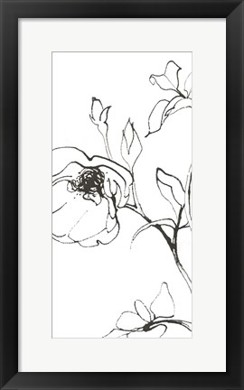 Framed Sketch of Roses Panel I Print