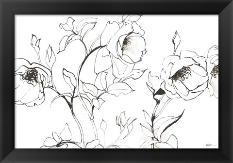 Framed Sketch of Roses Print