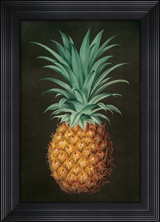 Framed Vintage Pineapple II Print