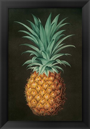 Framed Vintage Pineapple II Print