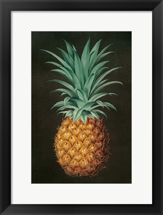 Framed Vintage Pineapple II Print