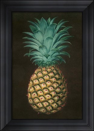 Framed Vintage Pineapple I Print