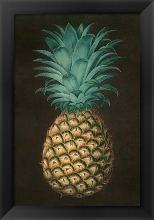 Framed Vintage Pineapple I Print