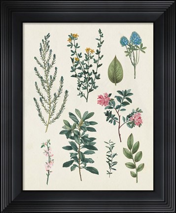 Framed Victorian Garden VI Light Print