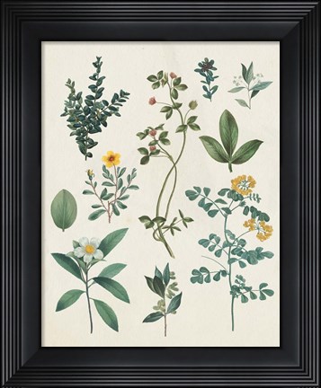 Framed Victorian Garden V Light Print