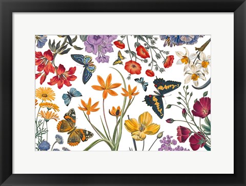 Framed Butterfly Garden VI Print