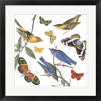 Framed Natures Flight I No Ferns Print