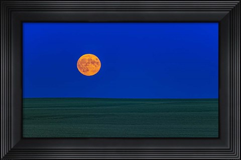Framed Full Moonrise, Alberta, Canada Print