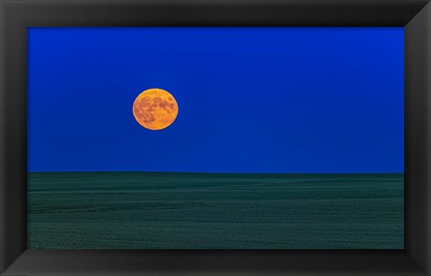 Framed Full Moonrise, Alberta, Canada Print