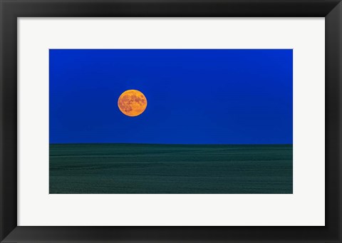 Framed Full Moonrise, Alberta, Canada Print