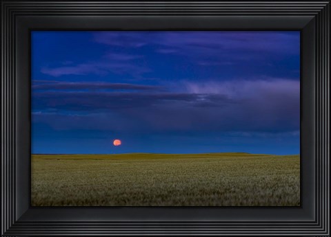 Framed Harvest Moon Rising, Alberta, Canada Print