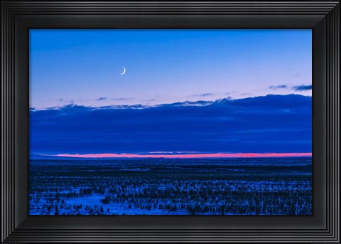 Framed Low Waxing Crescent Moon in the Evening Sky Print