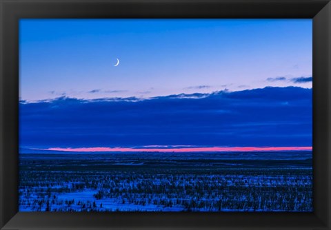 Framed Low Waxing Crescent Moon in the Evening Sky Print