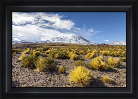 Framed Lascar Volcano in Chile Print