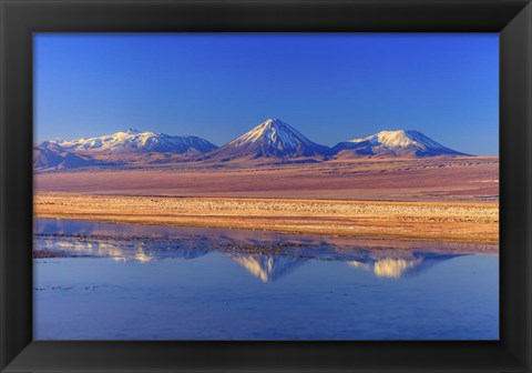 Framed Licancabur Stratovolcano Reflected in Laguna Tebinquinche, Chile Print