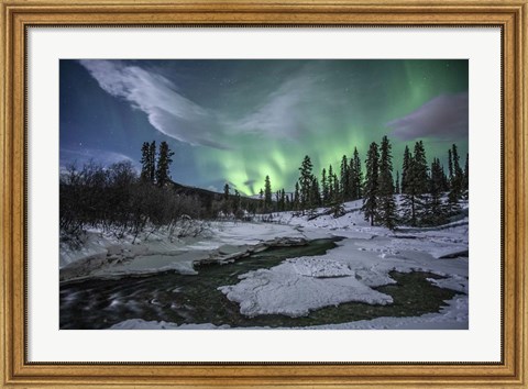 Framed Northern Lights Above Fish Lake, Whitehorse, Yukon, Canada Print