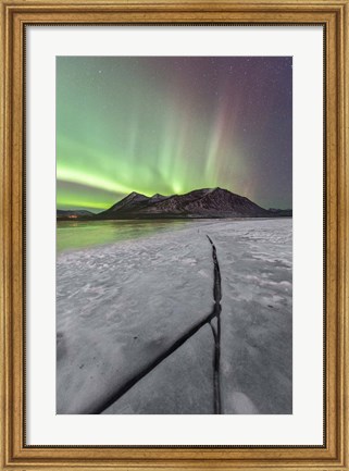 Framed Northern Lights, Carcross, Yukon, Canada Print