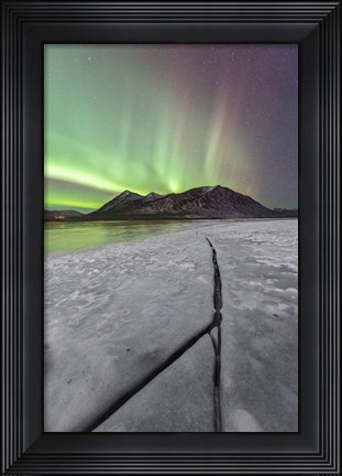 Framed Northern Lights, Carcross, Yukon, Canada Print