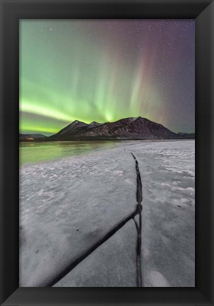 Framed Northern Lights, Carcross, Yukon, Canada Print