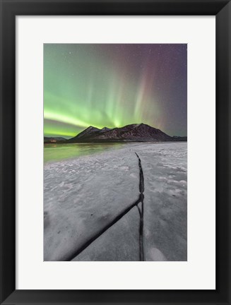 Framed Northern Lights, Carcross, Yukon, Canada Print