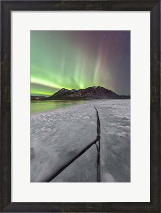 Framed Northern Lights, Carcross, Yukon, Canada Print