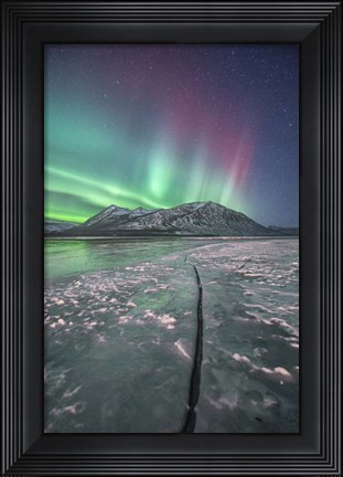 Framed Northern Lights, Carcross, Yukon, Canada Print