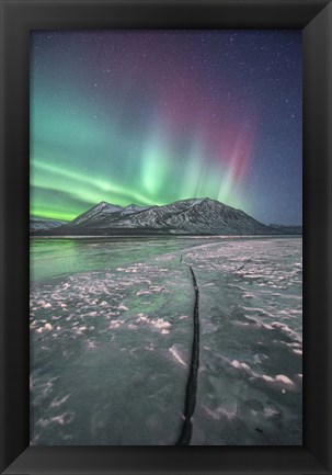 Framed Northern Lights, Carcross, Yukon, Canada Print