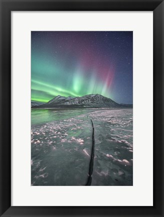 Framed Northern Lights, Carcross, Yukon, Canada Print