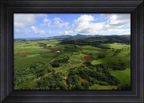 Framed Wailua River State Park, Kauai, Hawaii Print