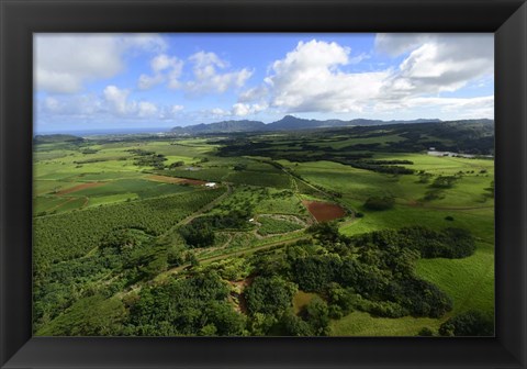 Framed Wailua River State Park, Kauai, Hawaii Print