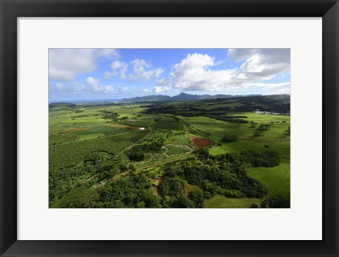 Framed Wailua River State Park, Kauai, Hawaii Print