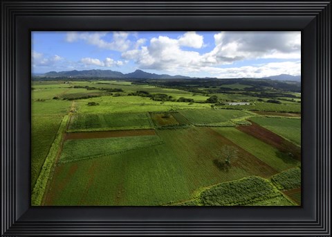 Framed Wailua River State Park, Kauai, Hawaii Print