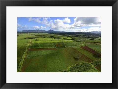 Framed Wailua River State Park, Kauai, Hawaii Print