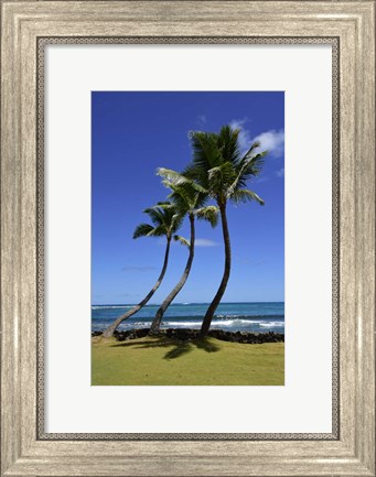 Framed Palm Trees on the Coast Of Hauula Print