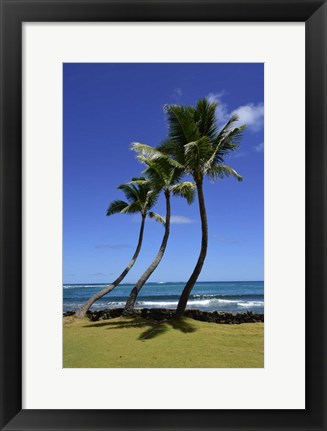 Framed Palm Trees on the Coast Of Hauula Print