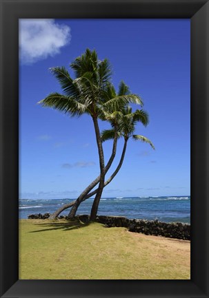 Framed Palm Trees on the Coast Of Hauula, Oahu, Hawaii Print