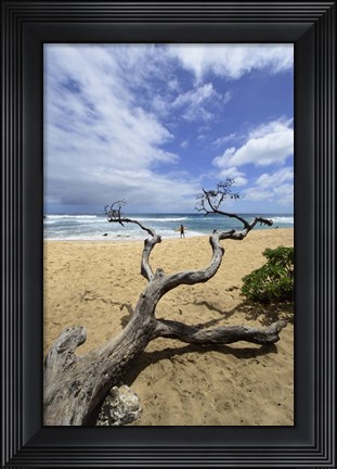 Framed Driftwood and Surfer on a Beach in Oahu, Hawaii Print