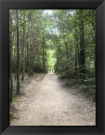 Framed Catawba Falls Trailhead, Asheville, North Carolina Print