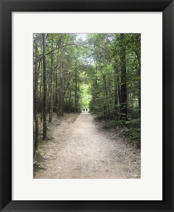 Framed Catawba Falls Trailhead, Asheville, North Carolina Print