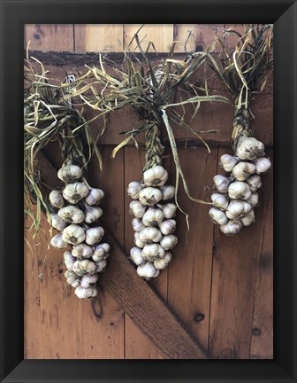 Framed Garlic Braids Hanging on a Barn Door Print