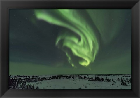 Framed Swirls of Auroral Curtains in the Northeast Sky, Churchill Print