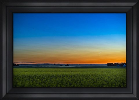 Framed Waxing Crescent Moon Below Venus Over a Ripening Canola Field Print