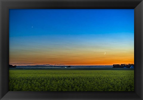 Framed Waxing Crescent Moon Below Venus Over a Ripening Canola Field Print