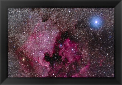 Framed North America Nebula Near Teh Bright Blue-White Star Deneb Print