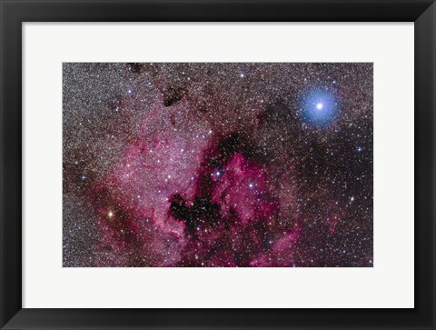 Framed North America Nebula Near Teh Bright Blue-White Star Deneb Print