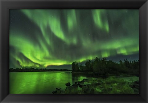 Framed Bright Sky-Filling Aurora at Tibbitt Lake East of Yellowknife Print