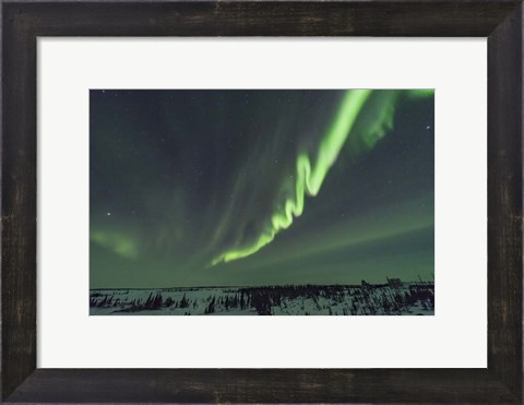 Framed Auroral Curtain Over Churchill, Manitoba Print