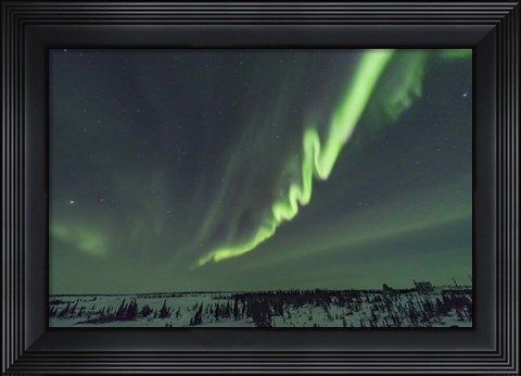 Framed Auroral Curtain Over Churchill, Manitoba Print