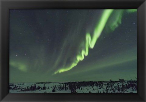 Framed Auroral Curtain Over Churchill, Manitoba Print