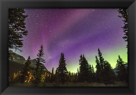 Framed Unusual STEVE Auroral Arc Across the Northern Sky at Bow LakeAlberta Print